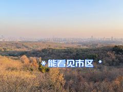 -南京老山国家森林公园