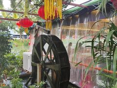 -晓琦农家菜馆·地道农家菜