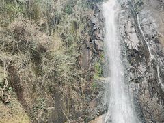 -姑婆山旅游区