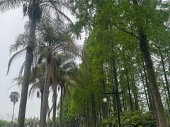 -江心屿景区