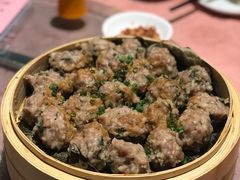 崩大碗肉丸-园林美食城·本土农家菜(杨和镇店)