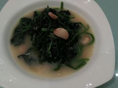 android_upload_pic-深圳富苑皇冠假日套房酒店