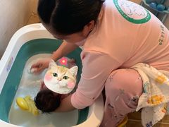 -田螺阿姨自营月嫂·育儿嫂(高新店)