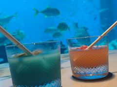 -亚特兰蒂斯•OSSIANO奥西亚诺海底餐厅