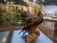 -陕西自然博物馆