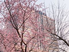 -北京广电国际酒店