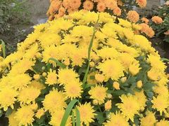 -中国天府农业博览园