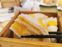 -乙龍天