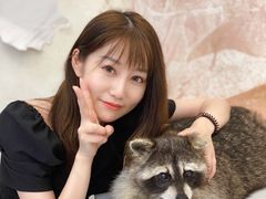-浣熊柯尔鸭土拨鼠·电玩咖