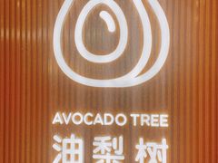 -油梨树 AVOCADO TREE(亮马桥店)