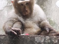 -柳州市动物园
