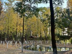 -艾溪湖湿地公园