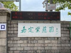 -嘉定紫藤园