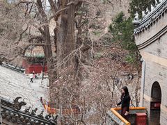 -潭柘寺景区