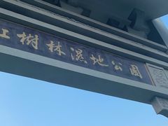 -大亚湾红树林城市湿地公园