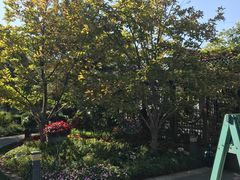 -中国石化西便门加油站(白云观街店)