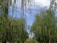 -眉山湿地公园(东坡区)