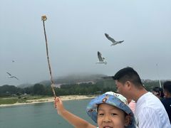 -海驴岛(荣成市)