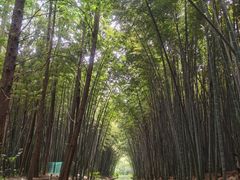 -同里国家湿地公园