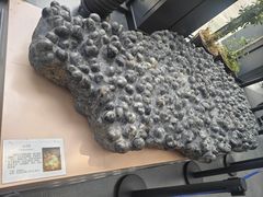 -辽宁古生物博物馆