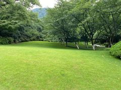 -中国茶叶博物馆(双峰馆区)