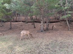 -黄寺卤煮·黄寺喝酒公司