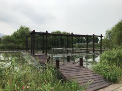 -长兴太湖图影湿地文化园