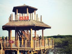 -北海金海湾红树林生态旅游区