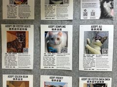 -瑞派申生动物医院·24H夜诊·国际动物医疗中心·骨外科(吴中路店)