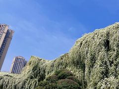 -府河摄影公园
