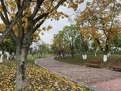 -桂溪生态公园