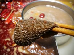 -巴奴毛肚火锅(广益哥伦布店)