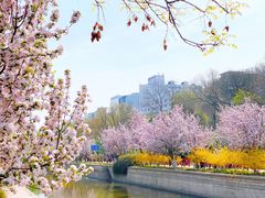 -海棠花溪(元大都城垣遗址公园)
