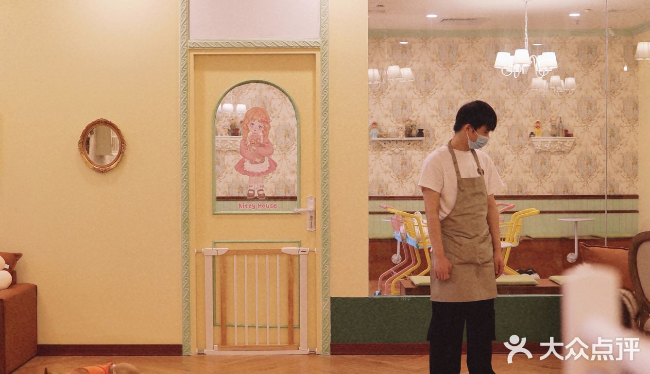 南宁有趣小店·喵庄园