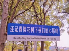 -高东镇樱花园