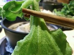-一叶一世界·素食餐厅(锦华万达店)