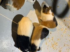 -合肥海洋世界