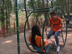 -东方巨龟苑景区