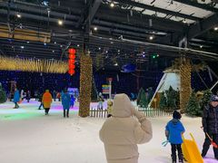 景点-宁波冰雪大世界(北仑区)