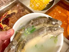-海底捞火锅(劲松店)