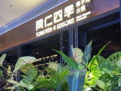 -同仁四季椰子鸡(宝安壹方城店)