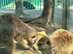 -水上乐园·欢乐世界