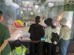 -海南热带野生动植物园