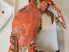 -半岛听涛蒸汽海鲜自助(K11店)