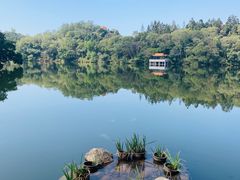 -深圳仙湖植物园