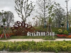 -上海滨江森林公园