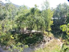 -井塘古村