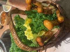 -蘑界·野生菌火锅(深业上城店)