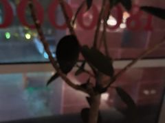 -鸽子侯·家宴·平价海鲜(市图书馆店)