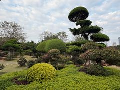 -南宁南湖公园